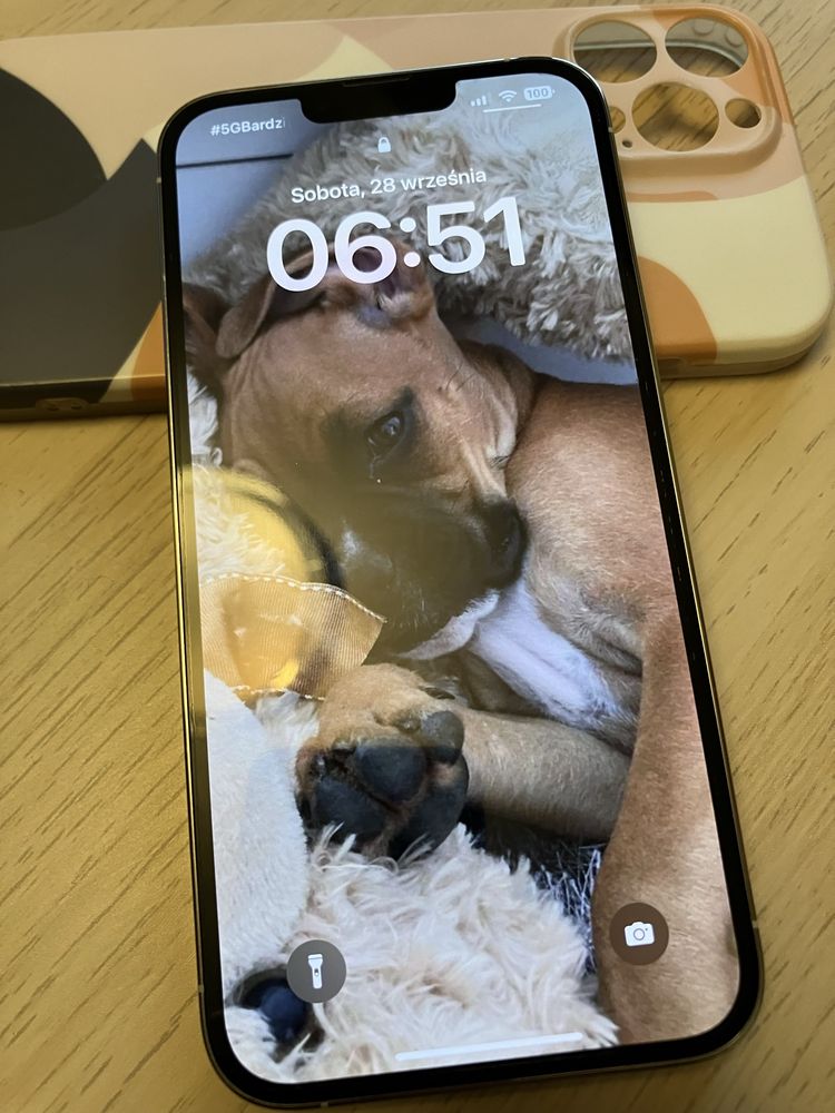 Iphone 13 pro max biały 256 gb