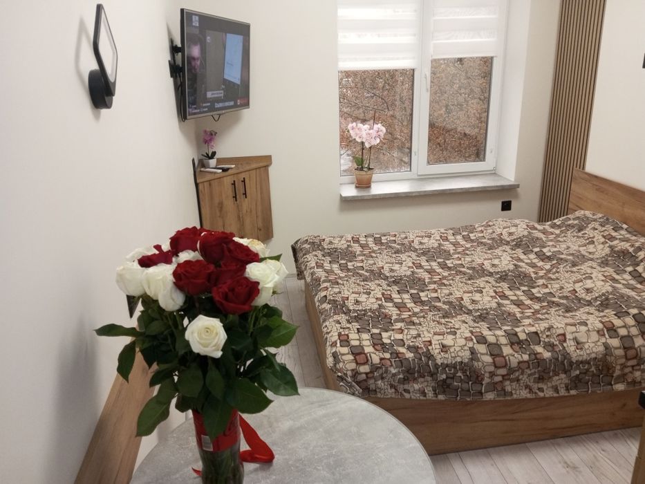 СвітлоЕзавжди,люкс,подобово, погодинно ,центр,біля л.Мечнікова