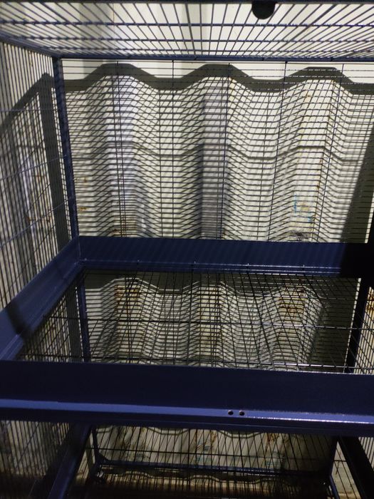 Savic Suite Royal 95 Klatka, woliera dla fretek,gryzoni,papug