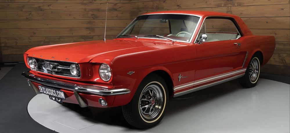 O Teu Casamento - Mustang