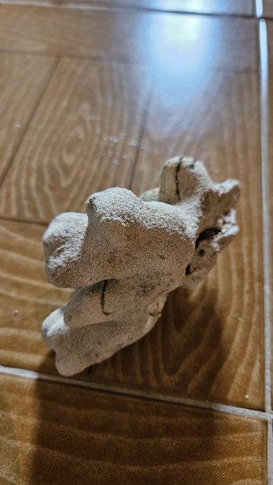 Rocha Coral para decoração de Aquário