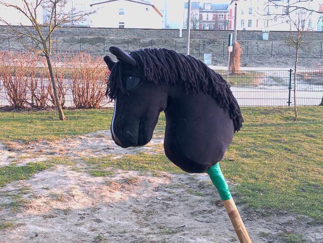 Hobby horse ujeżdżeniowy