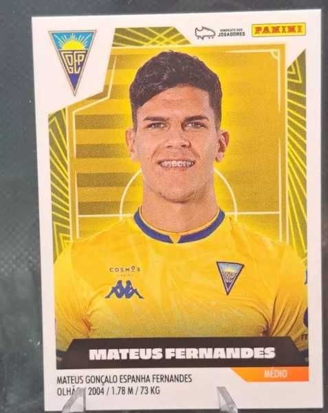 Mateus Fernandes - Estoril  cromo Rookie 147