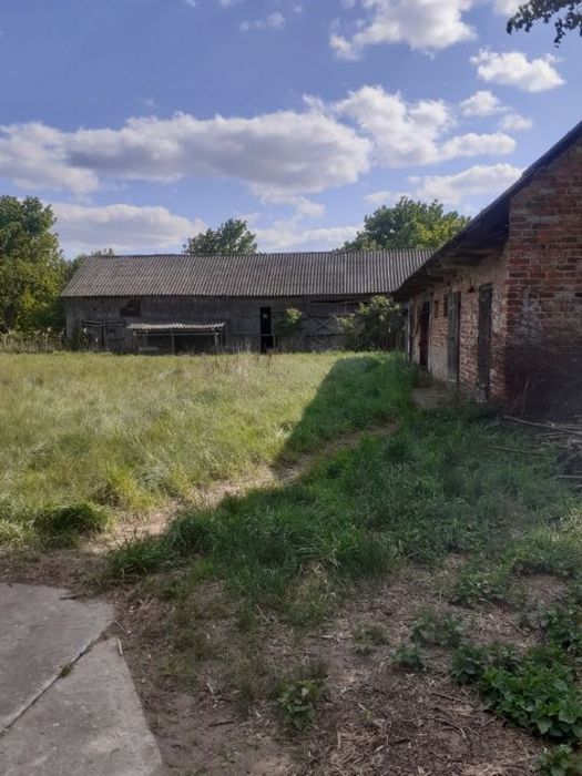 sprzedam działki rolne budowlane siedlisko kamionna koło łochowa