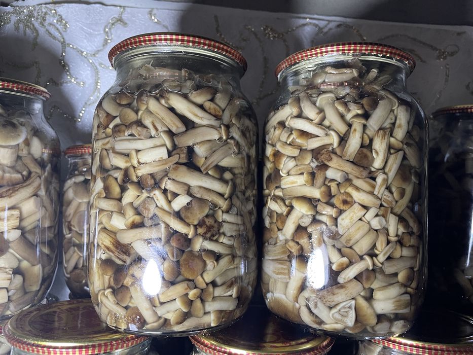Опеньки мариновані