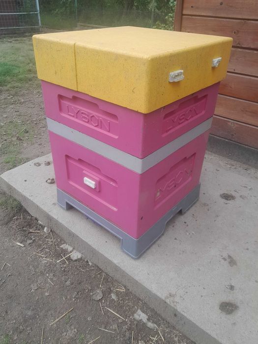 sprzedam UL wielkopolski