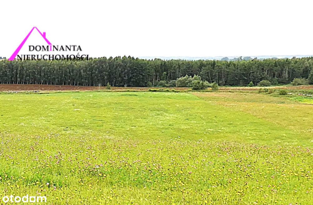 Działki rolne blisko lasu na Mazurach, 10 ha.