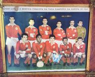 Poster Benfica 1962