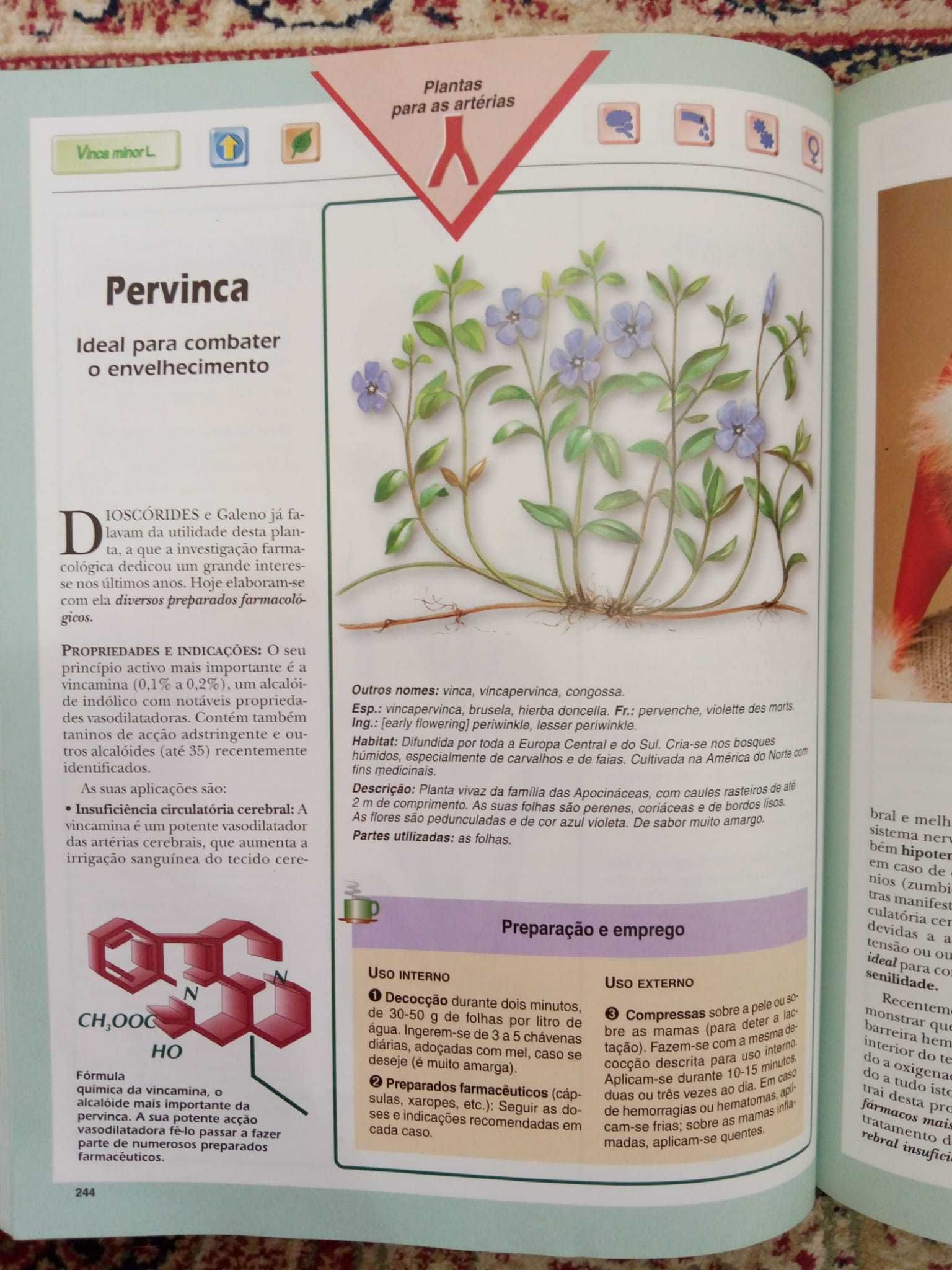 Livros "Plantas que Curam"