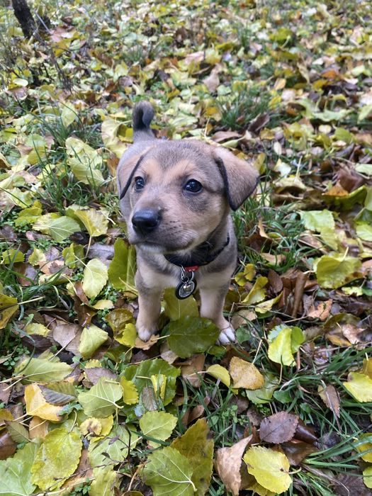 Хлопчики в добрі ручки