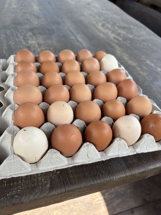 Яйце домашнє, яйця оптом , роздріб Кривий Ріг