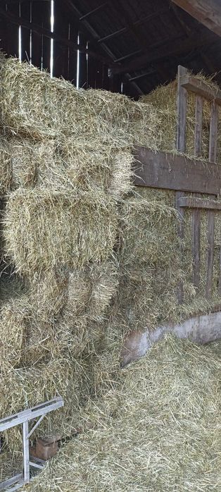 Siano w kostkach 2025 transport!