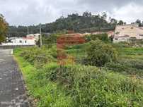 Lote Gaveto, Ferreiros