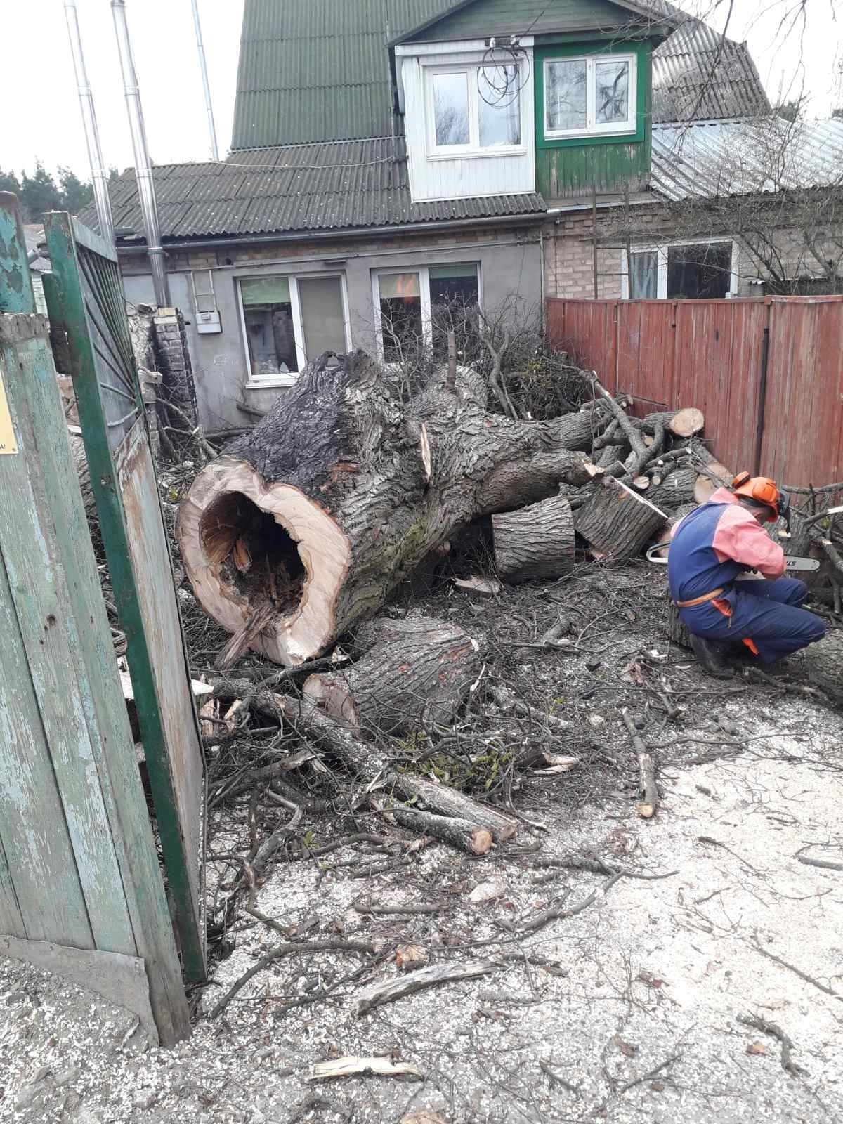 Видалення дерев Корчування пнів.Є послуги автовишки,ЩЕПОРІЗА