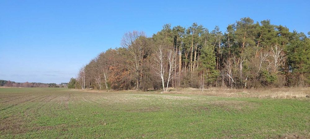 Біля лісу і річки.  Вороньківка, 3.4 га, ОСГ.