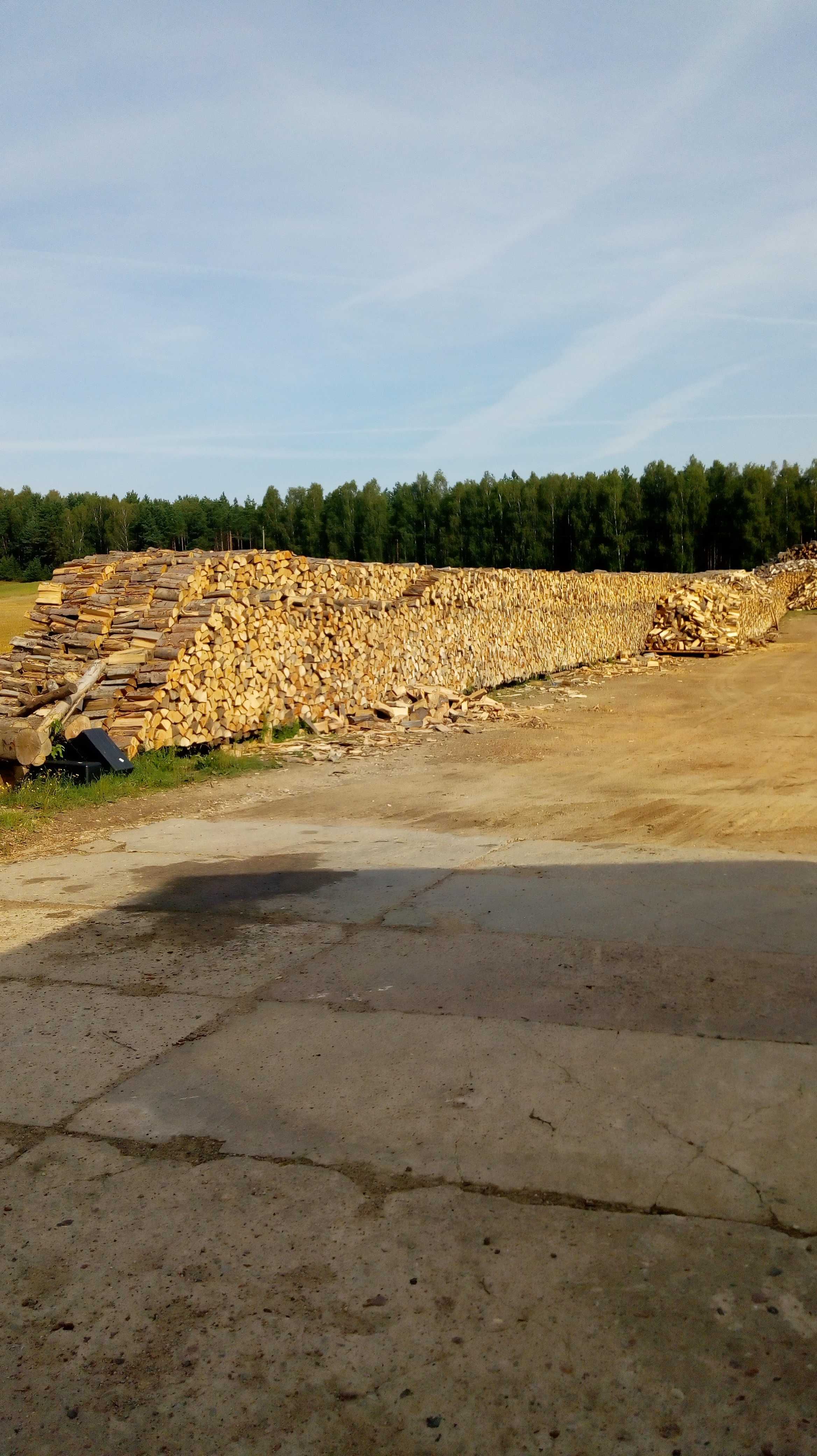 Drewno Kominkowe i opałowe