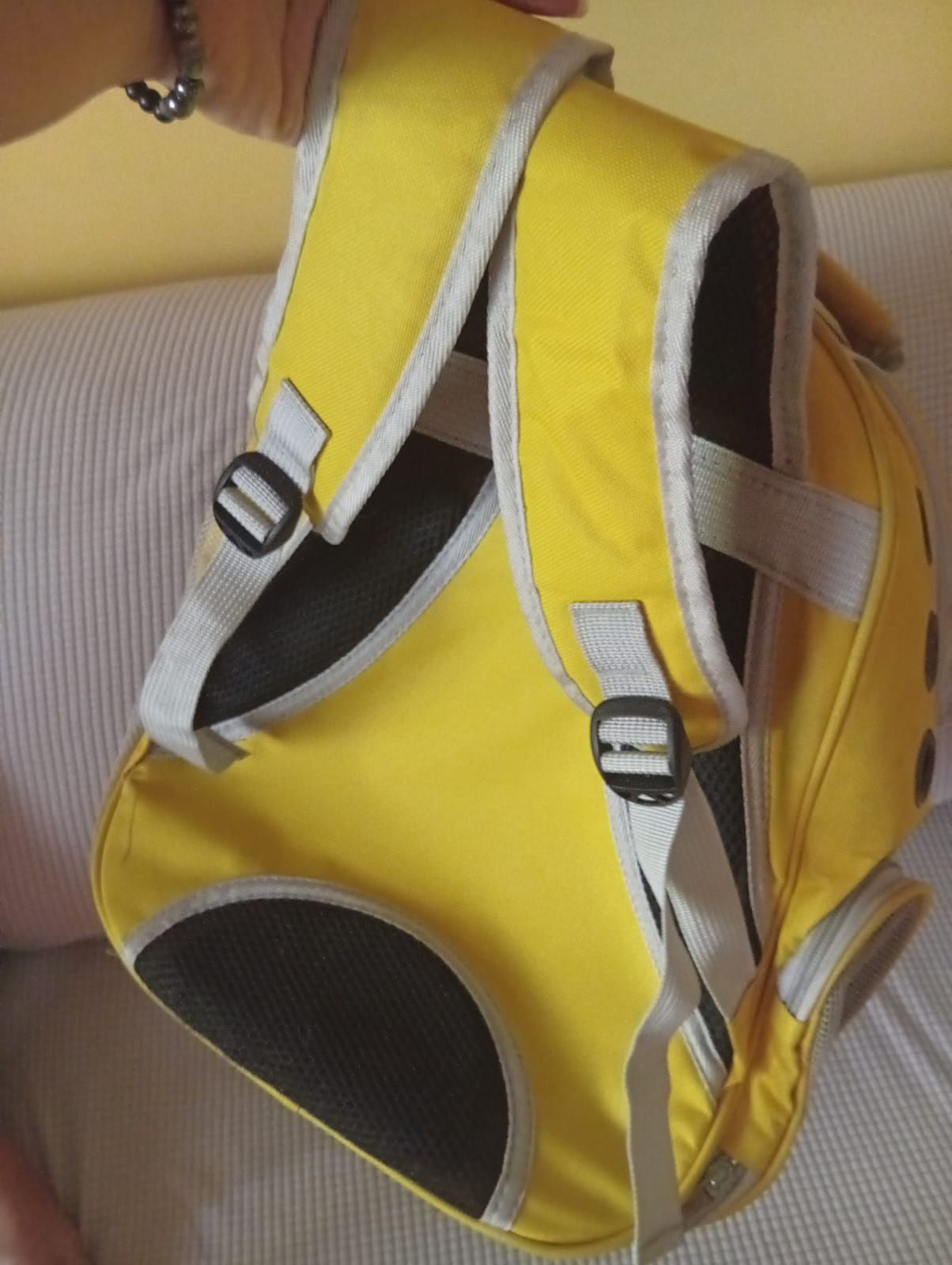 Mala para transportar gato