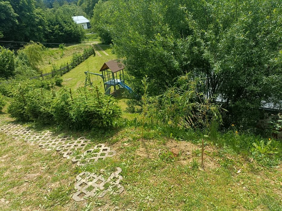 "Domki z Widokiem" w Łodynie