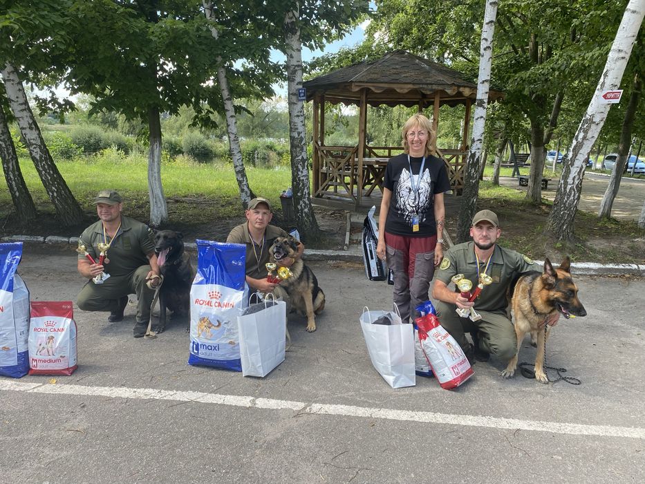 Цуценята німецької вівчарки