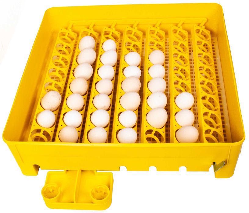 inkubator wykluwanie 80 jaj hodowla drobiu polska profesjonalny