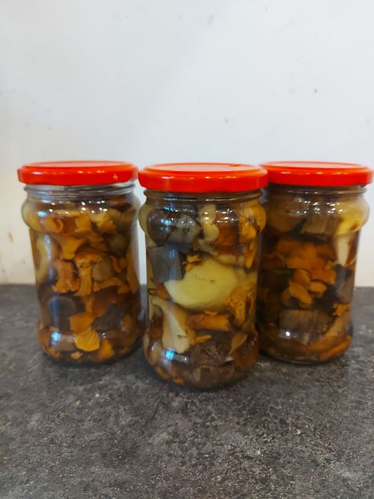 10x315 ml grzyby mieszane marynowane borowiki kurki podgrzybki