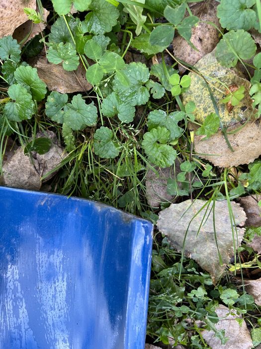 BMW e46 купе права дверка