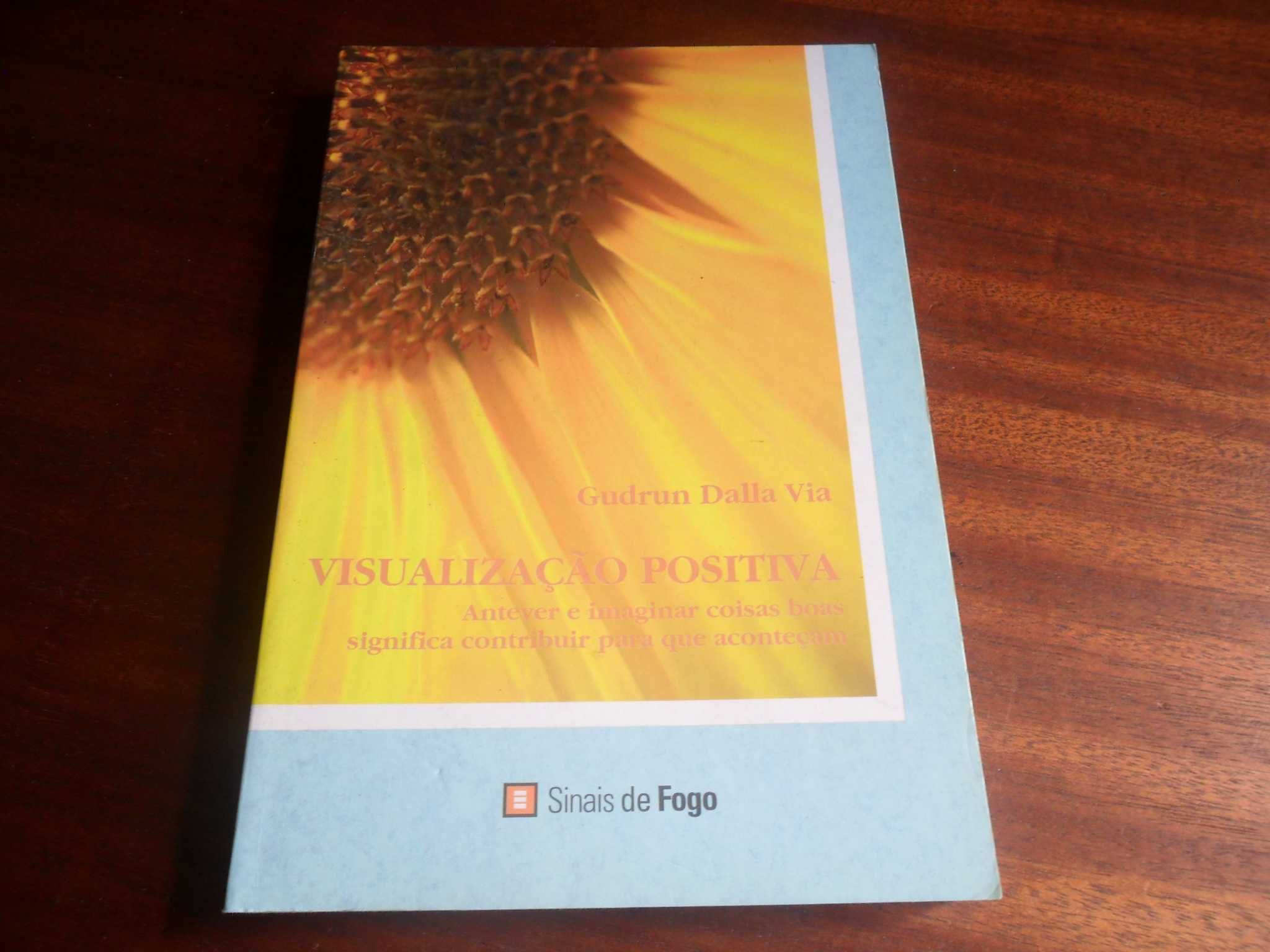 "Visualização Positiva" de Gudrun Dalla Via - 1ª Edição de 2006