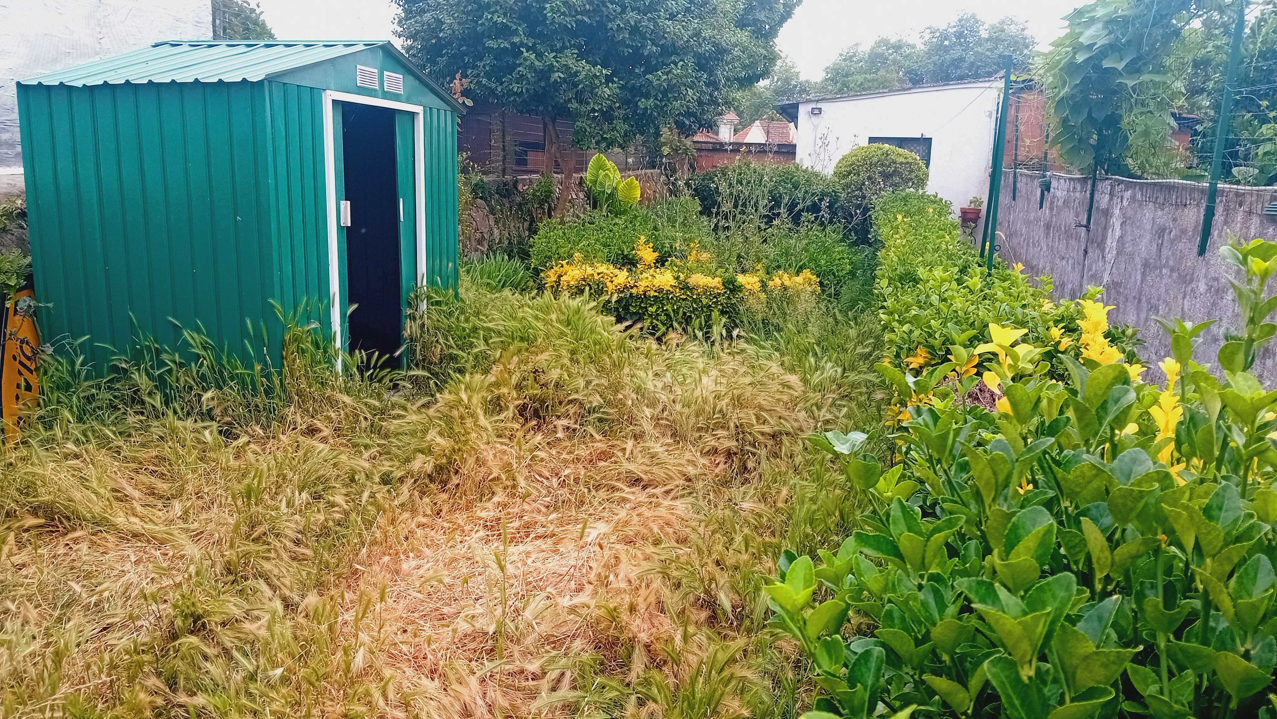 Manutenção de Jardins *!preços justos!*