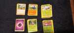 Pokemon Lote Comuns, Incomuns e Raras