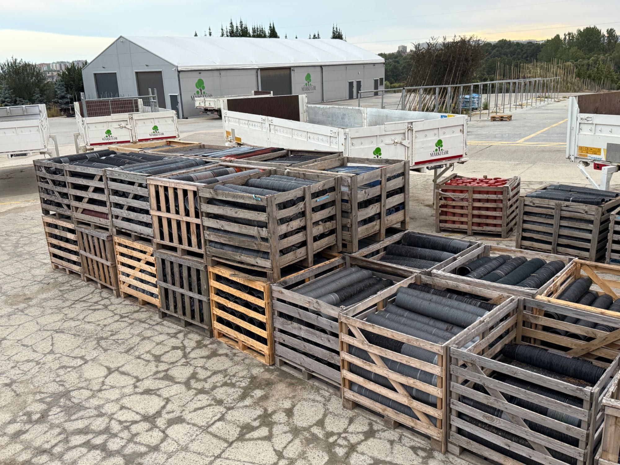 Doniczki produkcyjne p9 / p11 / c1 / c1,5 / c2 / c2,5 / duże ilości