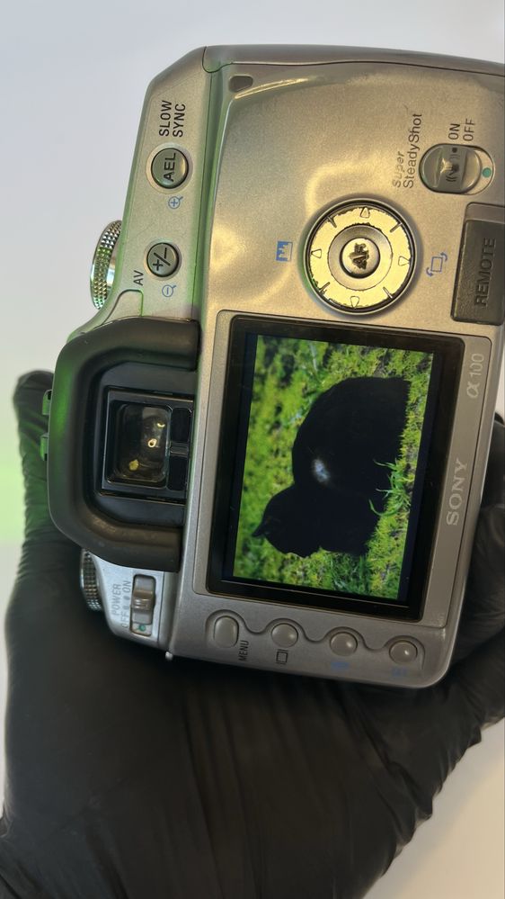Sony DSLR-A100 Alpha 100 A7 A9 g7x