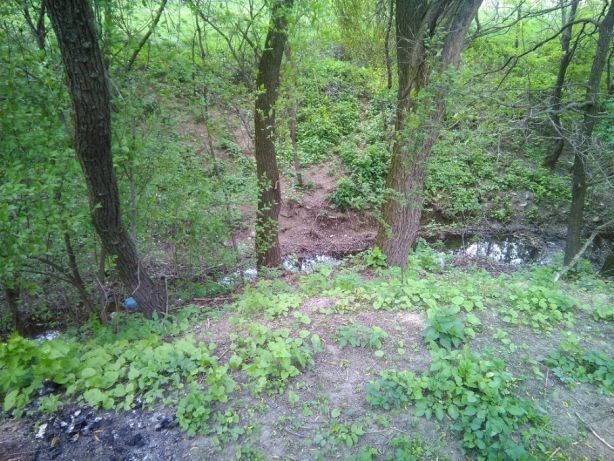 Продам ділянку в с.Боднарів Івано Франківська область калуський район