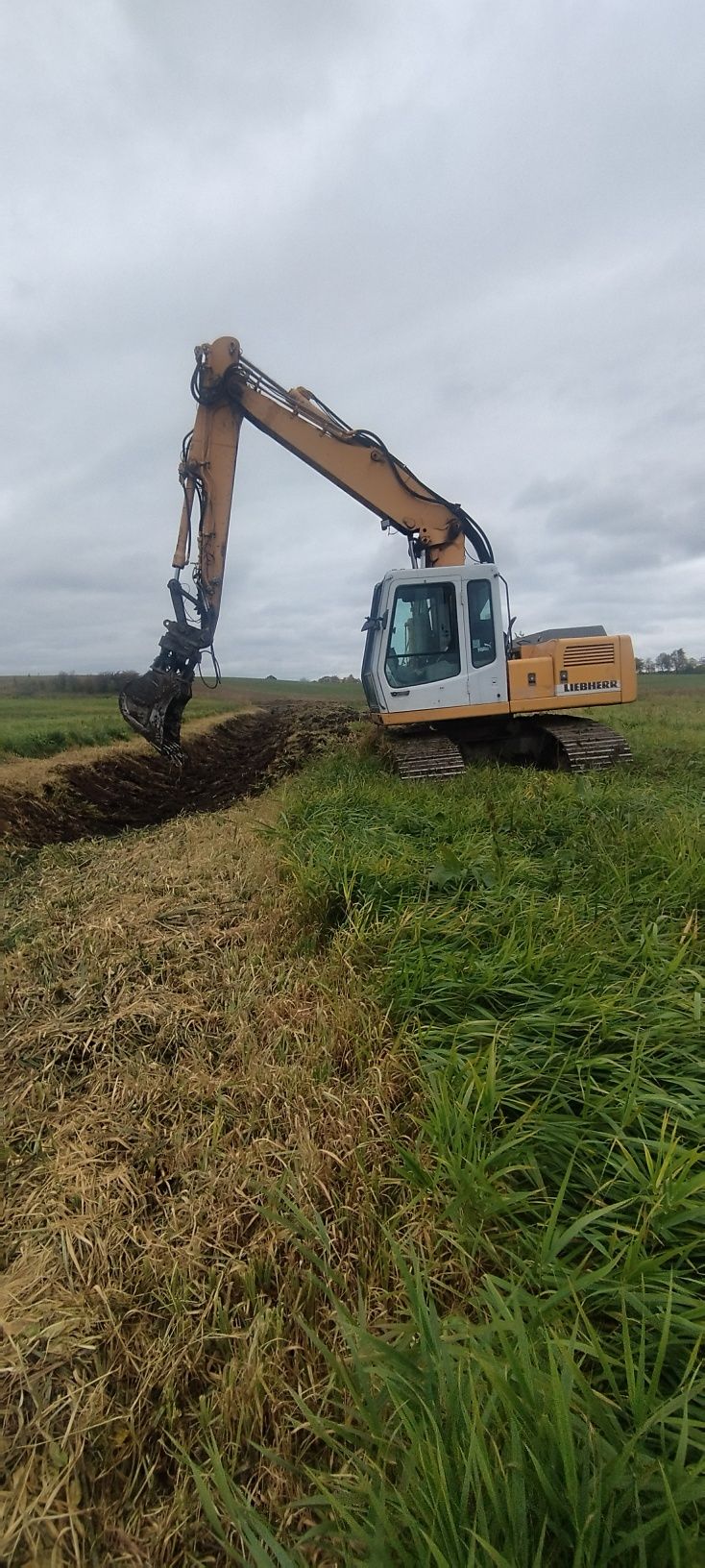 Stawy, koparka gąsienicowa, ogrodzenia, karczowanie, płyty fundamentow