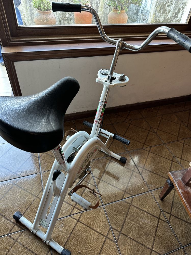 Bicicleta fixa Miralago Agueda