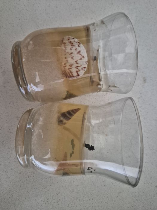 Velas de gel em recipiente de vidro