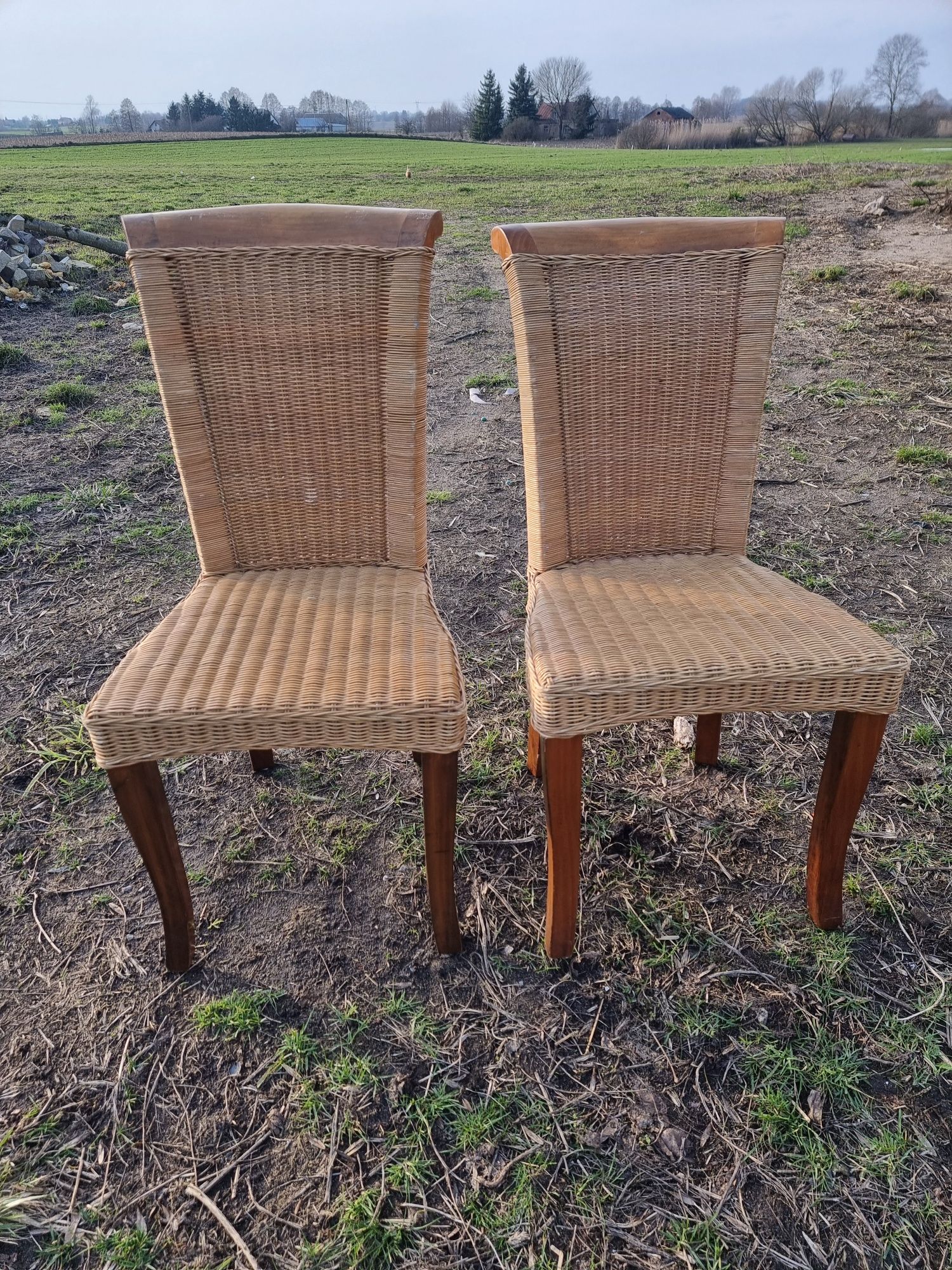 Dwa krzesła drewniane ratanowe