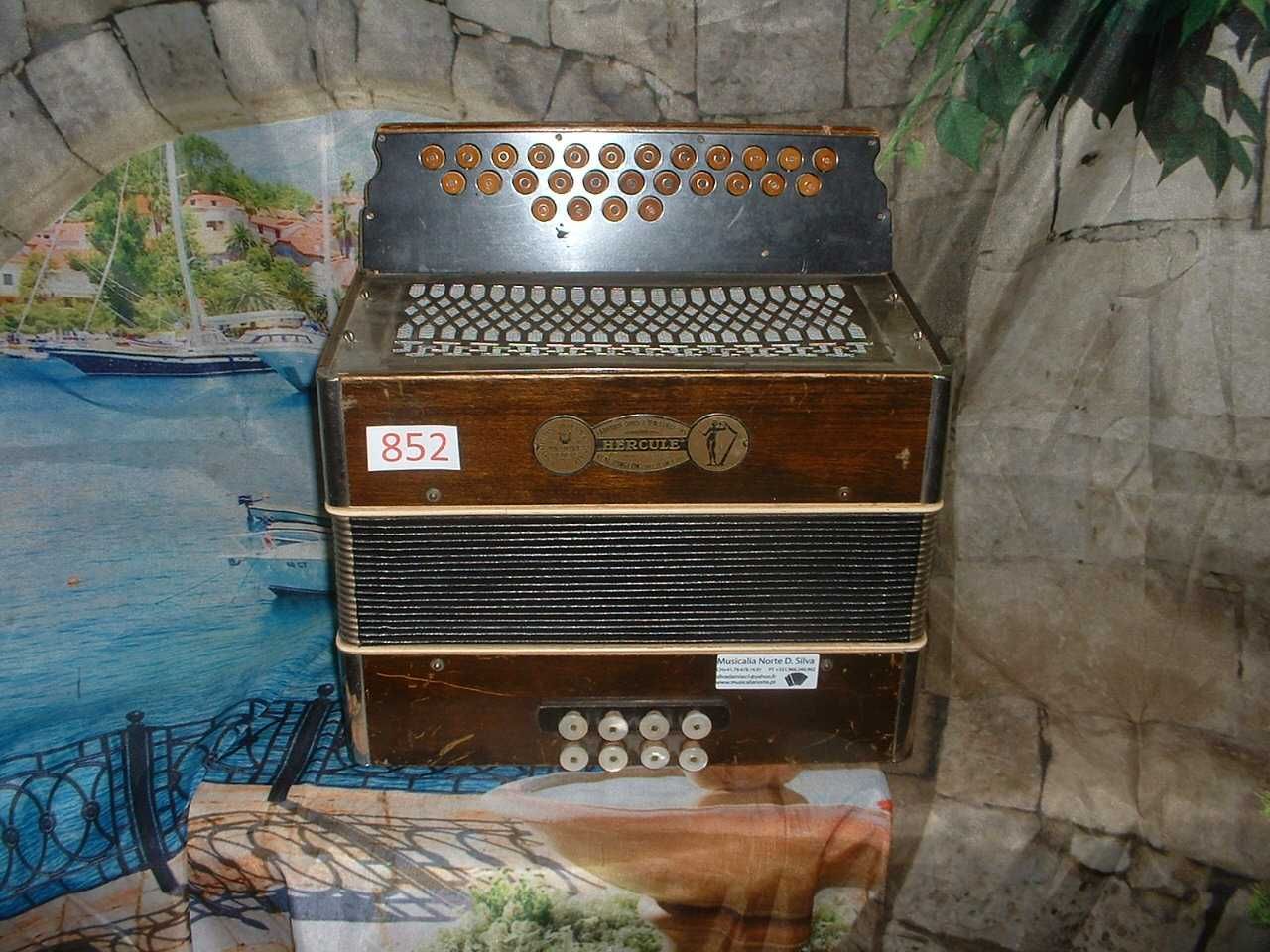 Concertina para venda N, 852