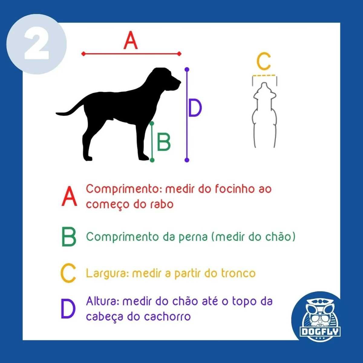 Caixa Transporte Pet Dogfly Padrão Iata Avião Tamanho 7 N7