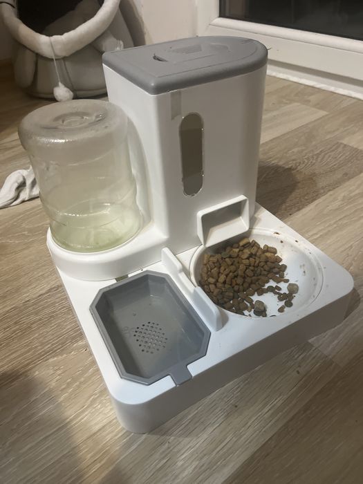 Oddam kocurka 7 miesięcy