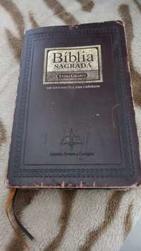 Biblia Letras Gigante