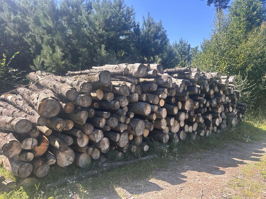 Drewno opalowe/kominkowe sezonowane z dostawą