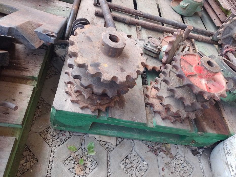 Zębatki kombajn ziemniaczany Hassia