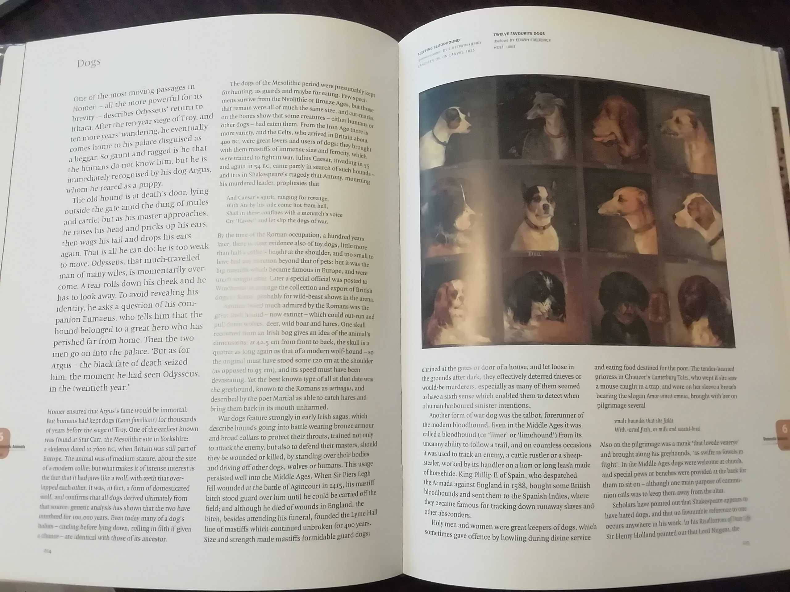 Fauna Britannica, Duff Hart Davis
