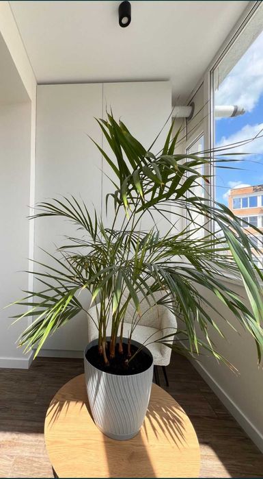 Продается 2 комнатная шикарная квартира в ЖК "Лазурный".