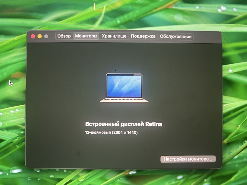 Apple MacBook Retina 12 дюймів 2015 рік