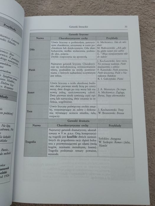 Tablice szkolne Greg