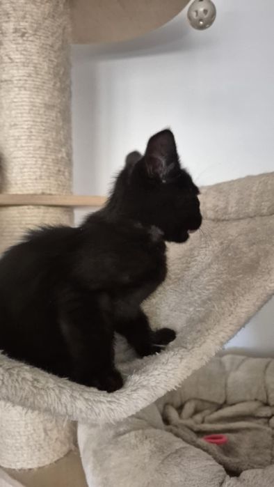 Kacperek potrzebuje domu