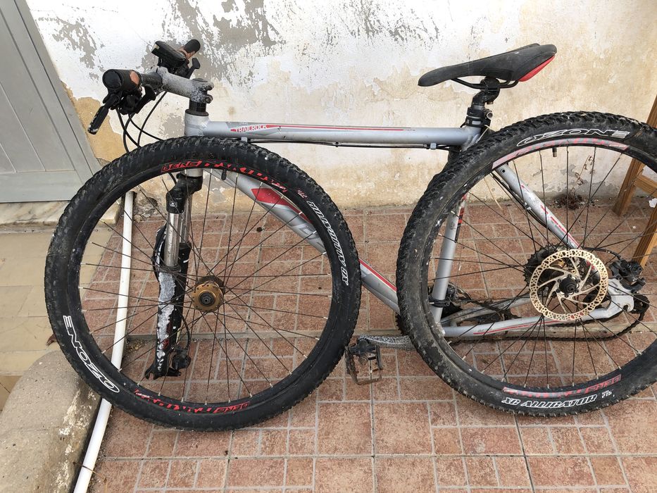 Bicicleta Berg Trail Rock