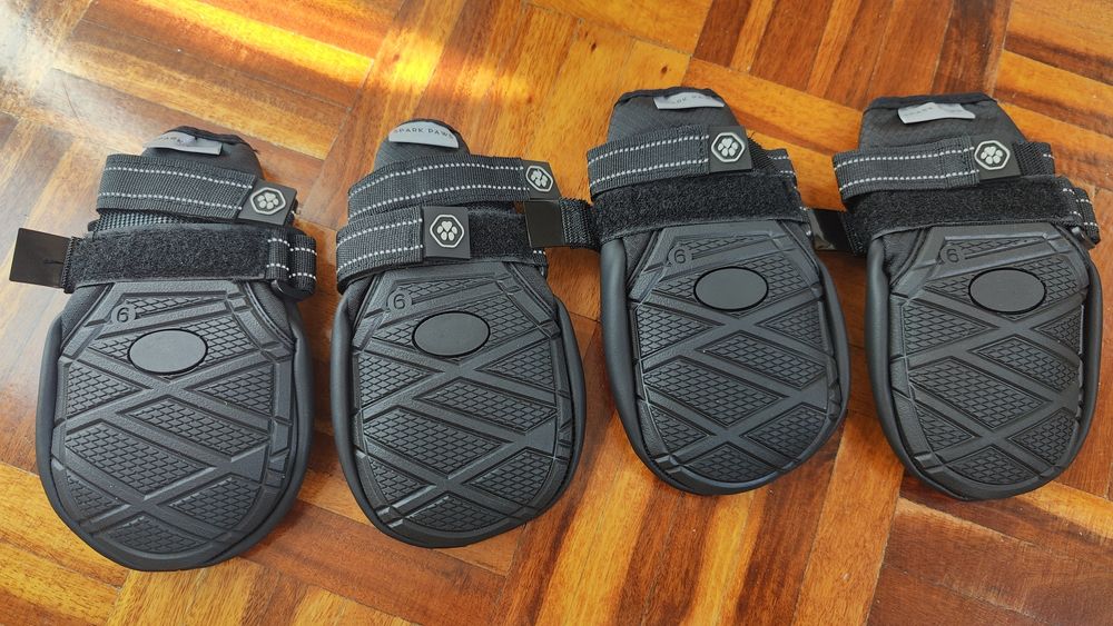 Sapatos para cão