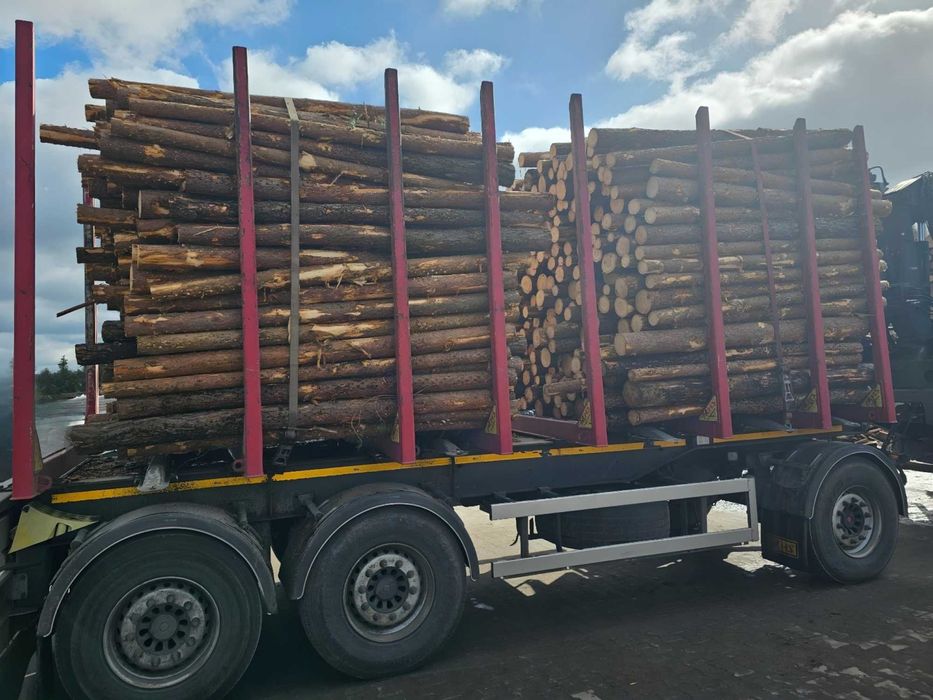 GRUBE SŁUPKI OGRODZENIOWE sosnowe 2,5m fi 8-12cm + siatka leśna